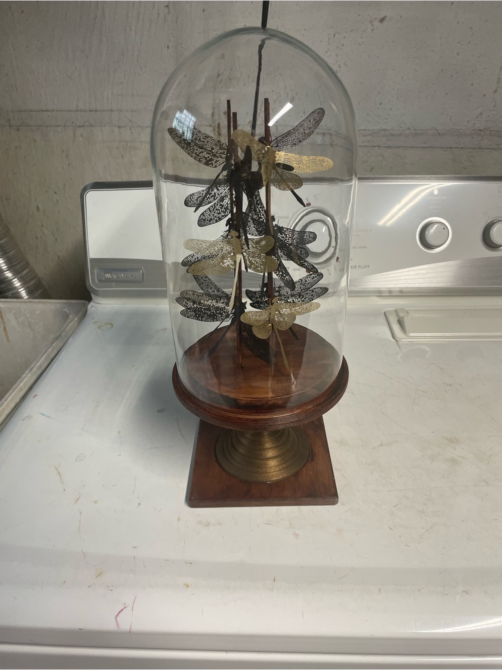 Decorative Glass Cloche with Gold & Black metal Dragonfly Sculpture
